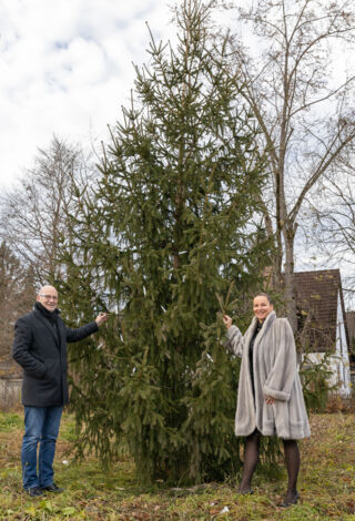 Dr. Katerina Radostova übergibt die Fichte an Bürgermeister Rudolph Haux (Foto: Gemeinde Krailling)