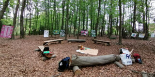 Ein Waldklassenzimmer in einem Schulwald in Rahmen des Klimabildungsprojektes der Schutzgemeinschaft Deutscher Wald, Landesverband Bayern e. V. (Foto: Schutzgemeinschaft Deutscher Wald)