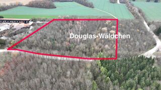 Lage des sogenannten Douglas-Wäldchens - rot umrandet die geplante Abbaufläche (Foto: Unser Würmtal)