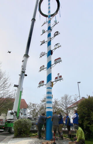 Ab 5 Uhr stellte der Maibaumverein Neuried seinen neuen Maibaum auf. Statt den üblichen 2.500 Schaulustigen half nur ein kleiner Kreis von 20 Vereinsmitgliedern. So blieben die Coronaauflagen gesichert.