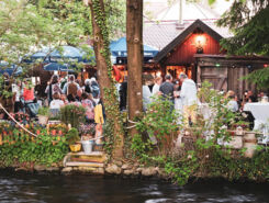 Wilder Hirsch, Biergarten, Außenbreich