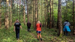 In Richtung KIM verändert sich der Wald. Fichtenbestände treten in den Vordergrund (Foto: Unser Würmtal)