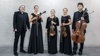 Das Amadis Quartett wird am 16. Februar im Kupferhaus gastieren