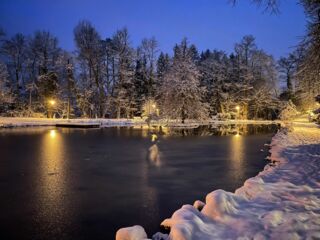 Siegerfoto von Dirk Beiling mit dem Berger Weiher