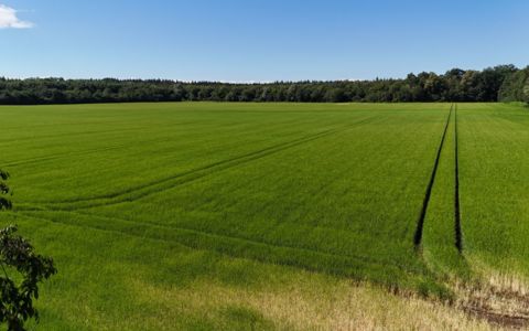 Dieses Feld soll genutzt werden