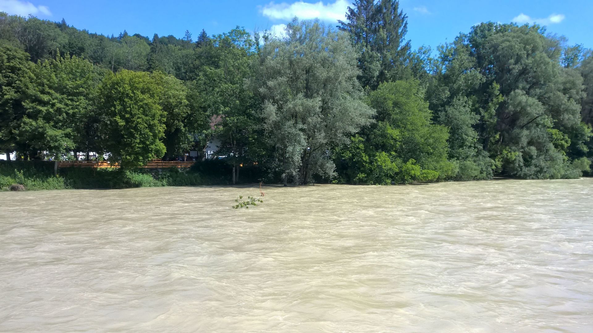 Teibgut in der Isar