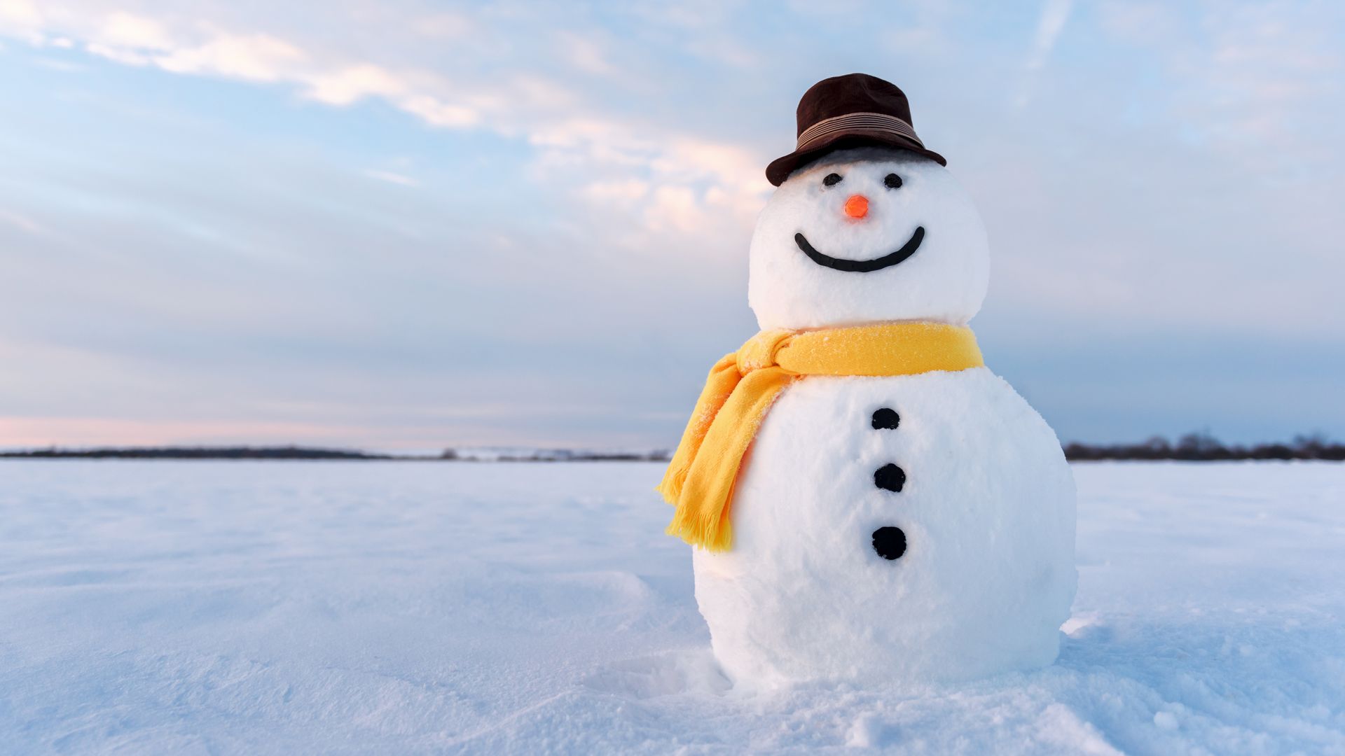 Dem Schneemann dürfte egal sein, ob er taut, schmilzt oder sublimiert – irgendwann muss er gehen.