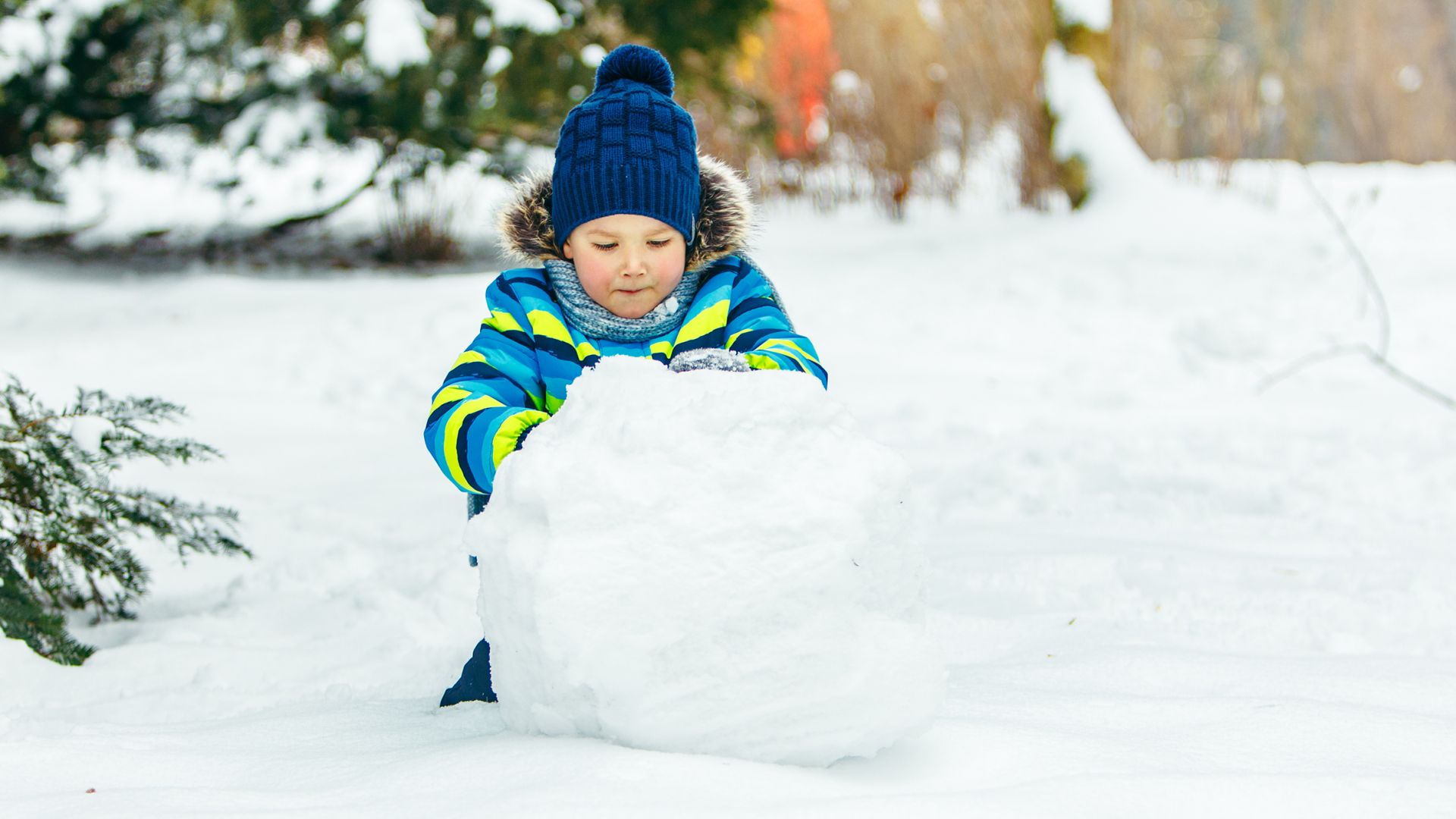 Bei idealen Bedingungen lässt sich Schnee zu riesigen Kugeln rollen.