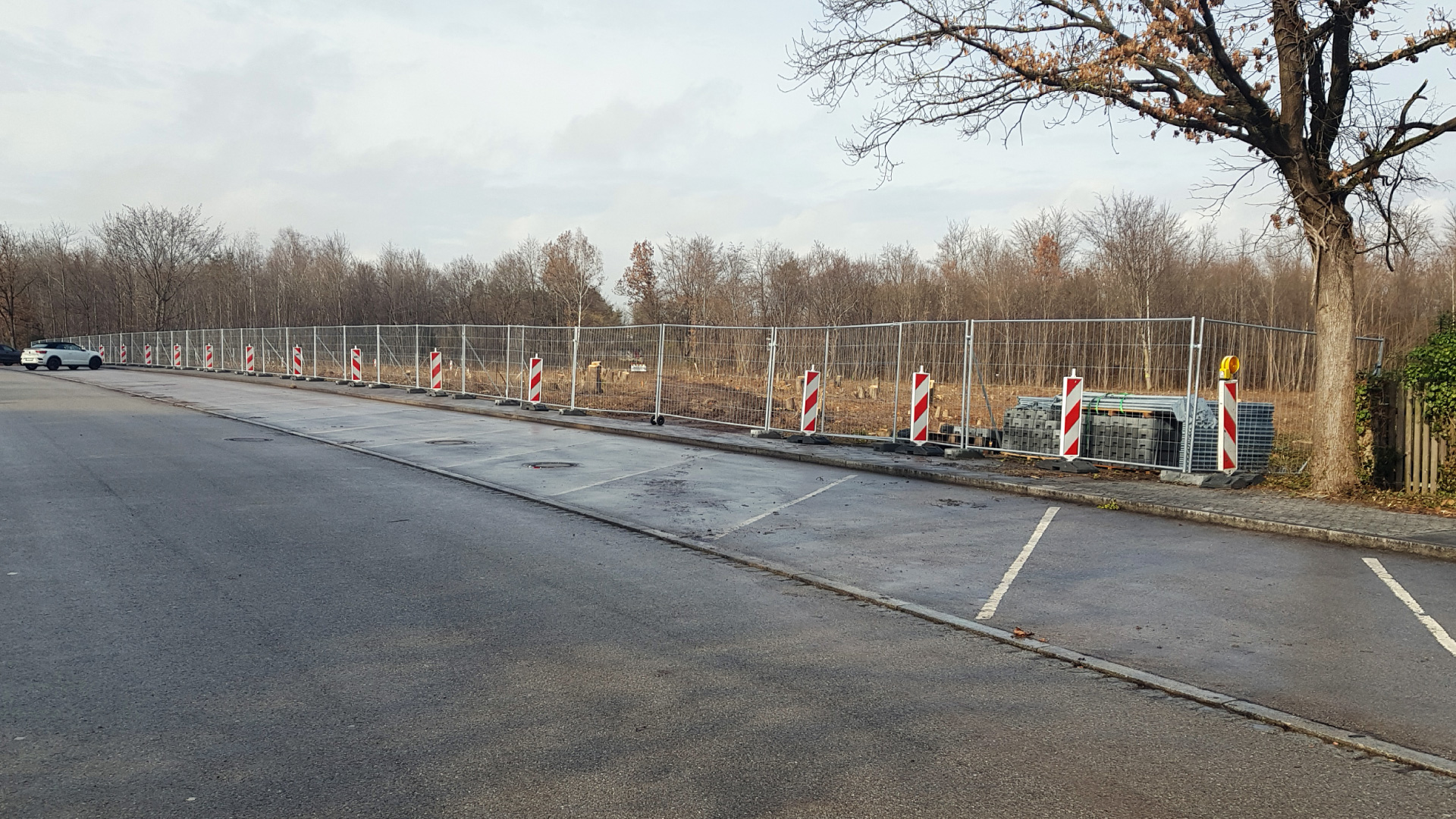 Die Fällarbeiten für den Bau der neuen Gräfelfinger Schwimm- und Dreifachturnhalle sind abgeschlossen und der Fußgängerweg wieder freigegeben.