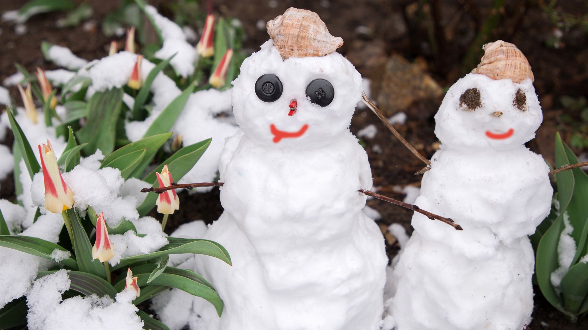 Der Märzwinter macht’s möglich: Schneemann und -frau im Frühling.