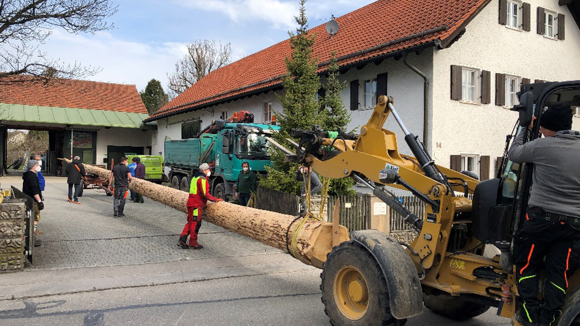 Mit viel Geschick und Erfahrung wurde der Neurieder Maibaum zu seinem Lagerplatz im Ort gebracht.