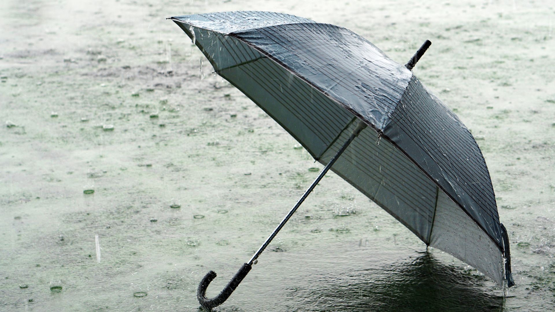 Zusätzlich zu viel Regen hat der April Sturm im Gepäck. Am Donnerstag drohen regional Böen um Tempo 100. (Foto: WetterOnline)