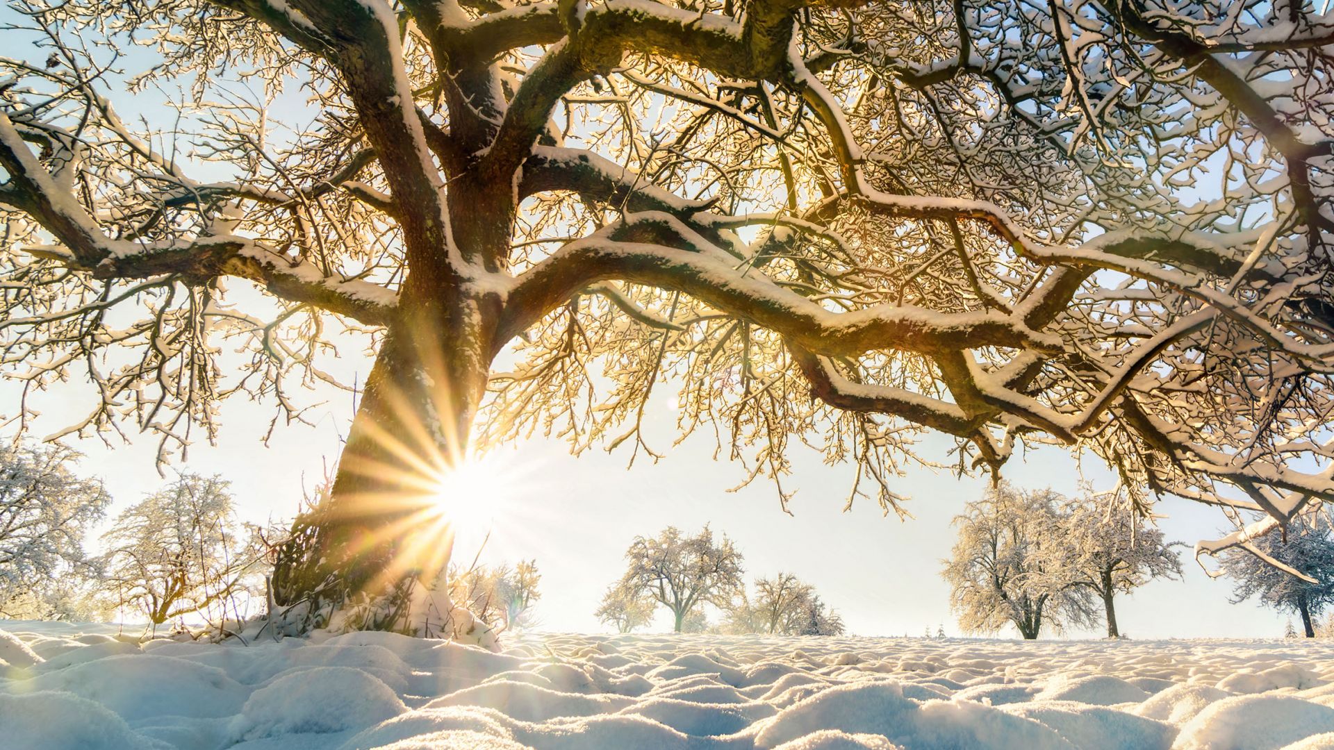 Kalte Winter mit Schnee und Eis sind auch in Zeiten des Klimawandels möglich. (Foto: Shutterstock)