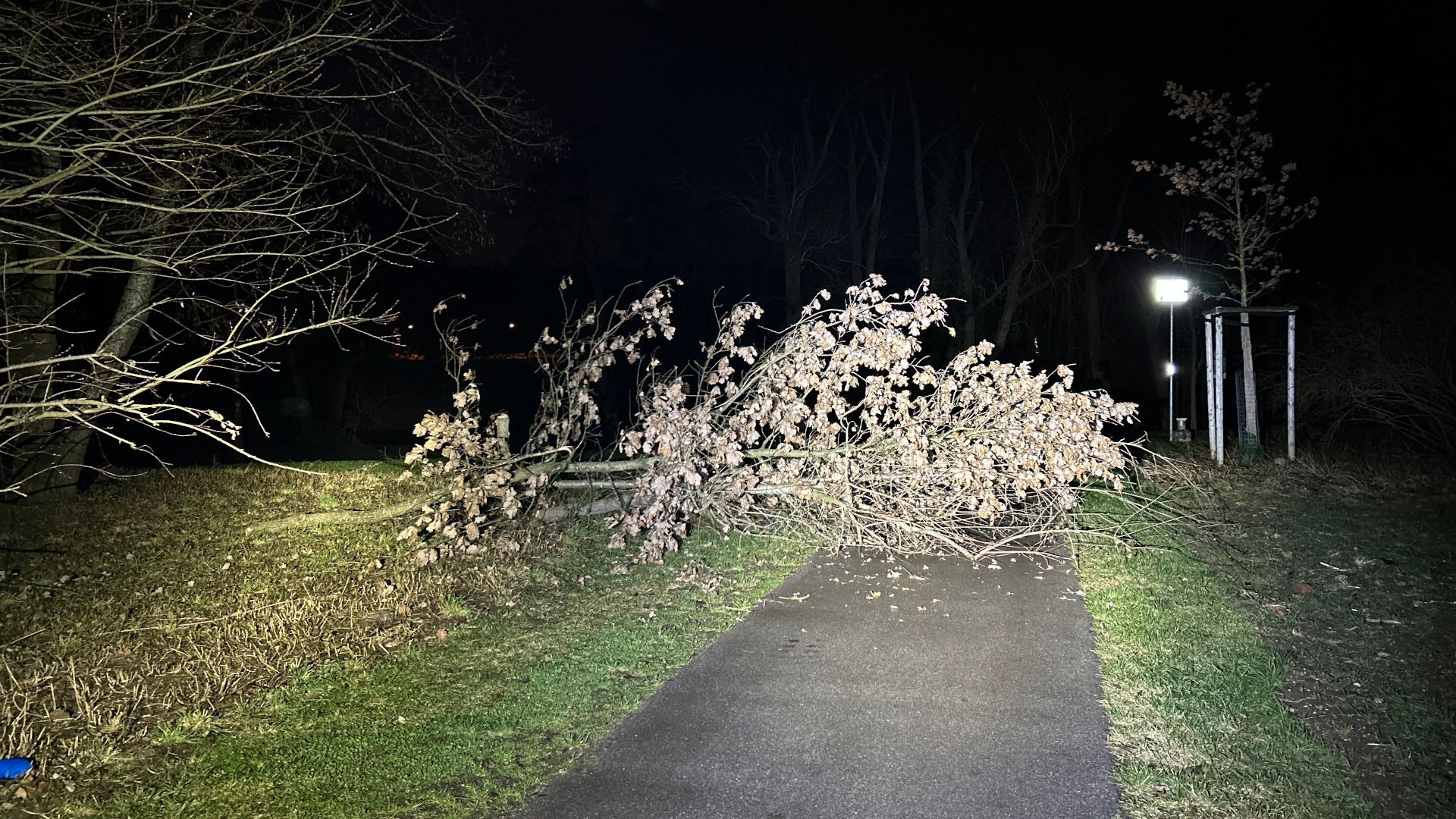 Bild 1: Blockierter Spazierweg in Nähe der Würm in Gauting (Foto: Polizei Gauting)