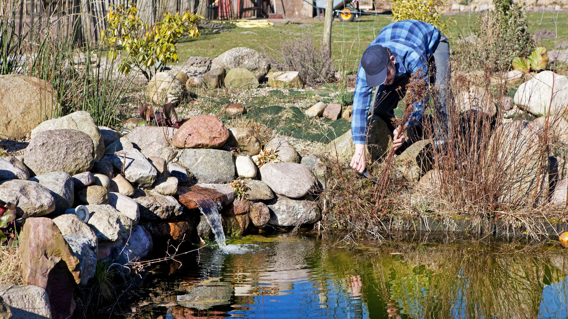 Herbstkur für den Gartenteich